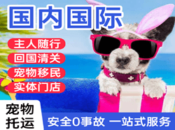 阿克苏红旗坡航空托运国际宠物托运 【国